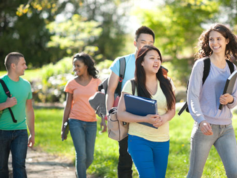 手机号轰炸业务网